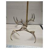 2- sets deer antlers