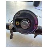 Dawia reel and Siiaglex rod