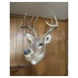 Deer Head