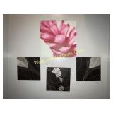 Wall Decor Lot of (4)Flower Picture 16x16