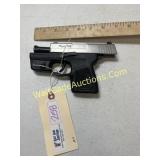 9m Sig Sauer Model P290