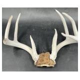 Deer Antlers Mount