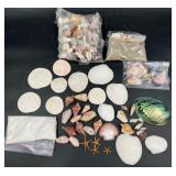 Seashells & Sand- Most whole, Abalone, Starfish +