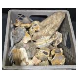 Lot of Rough Biggs Junction Picture Agates