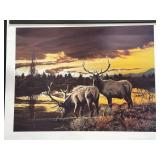 Dan Rickards LE ï¿½93 Elk Art Print w Sunset Scene