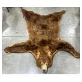 Full Brown Bear Taxidermy w Head & Claws