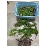 18 Gal Tub w Artificial Plants & Foliage Greens 18 Gal Tub w Artificial Plants & Foliage Greens