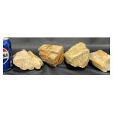 4 Petrified Wood Specimens  Approx 10 lbs
