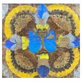 Vintage Art Deco Brazilian Butterfly Serving Tray