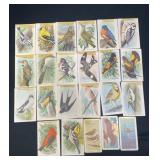 22 Vintage Arm & Hammer Useful Birds Trading Cards