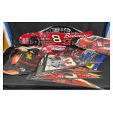 Dale Earnhardt Jr. NASCAR Racing Memorabiliaï¿½ Rug+