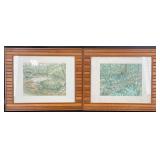 Pair Framed Nature Drawing Art Prints ï¿½ Turtle +