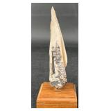 Scrimshaw Sailboat & Lighthouse Carving on Stand