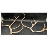 Matched Pair of Reindeer Antlers