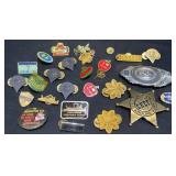 Assorted Lapel Pins Badges  Novelty +