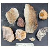 Geological Specimens - Agate, Petrified Wood +