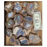 20 Cut Oregon Thundereggs w Polished Faces