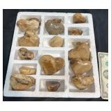Polished Brown Stone Hearts w Tray Display