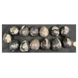 13 Fossilized Marble Eggs w Nautilusï¿½Orthoceras