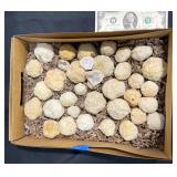 30+ Unopened Natural Quartz Geodes
