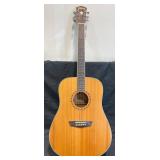Washburn WD10S Acoustic Guitar