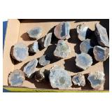 18 Oregon Thunder Egg Rock Halves