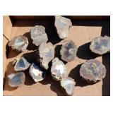 6 Oregon Thunder Egg Rocks Cut in Half 12 Pieces