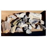 Box of Misc Oregon Petrified Wood Pieces Some Opal