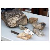 Nice Lot of Assorted Petrified Wood Pieces