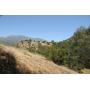 Tujunga, CA at City of Los Angeles Land For Sale, LA County