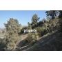 Wrightwood CA 3.33 Hilltop Land Sale Panoramic View SBCounty