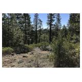Modoc County Land for Sale Arrowhead Rd Alturas CA