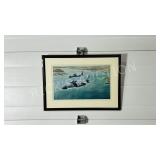 Sea Harrier Robert Taylor print