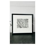 Framed photo by Steve Speer