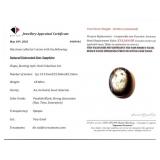 18.68 ct Cert. Star Sapphire - $14,664 Appraisal