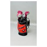 vintage golf bag & clubs , bar set