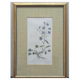 Original Vintage Signed Botanist Drawing