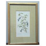 Original Signed Botanist Drawing