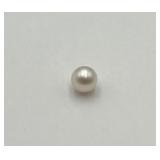 Cultured Half Drilled Pearl