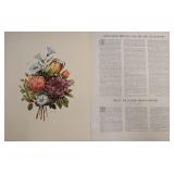 Vtg. Prévost "Bouquets" Print w/Article
