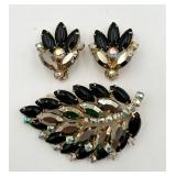 Beautiful Vintage Pin & Ear Clips Set