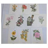 Vtg. Wildflower of America Print Collection