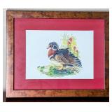 'The Wood Duck' Giclï¿½e by Susan Morrison