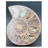 Sterling Silver Polished Ammonite Ring