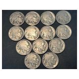 13 Buffalo Nickels
