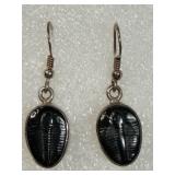 925 Elrathia Kingi Trilobite Fossils Earrings