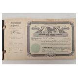 97 Stock Certificates: New Era Gold Mining Company