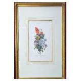 *Vrg Paris F. Sinnet Botanical Print