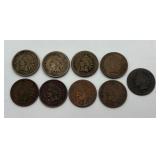 9 Indian Head Pennies