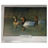 "First Light Canvasbacks" by Jun Hautman